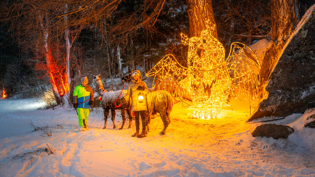 Hotely Mallnitz SKI OPENING Advent