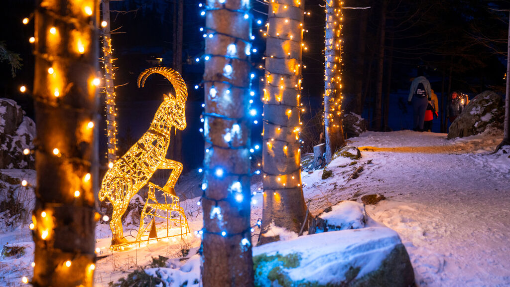 Hotely Mallnitz SKI OPENING Advent