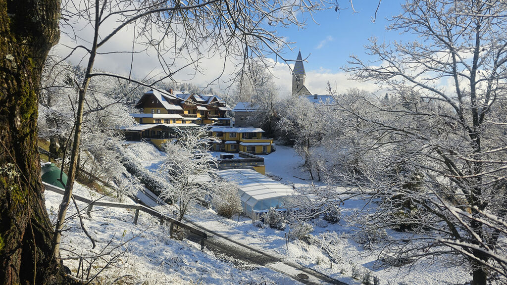 Hotel Karnischer Hof