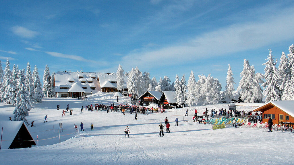 Krvavec