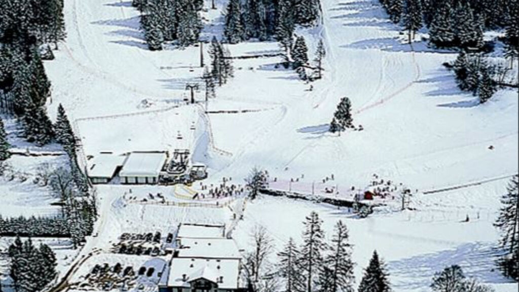 Martinella