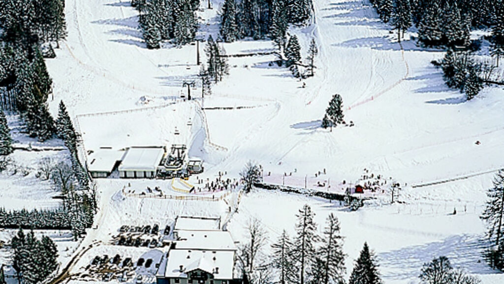 Martinella