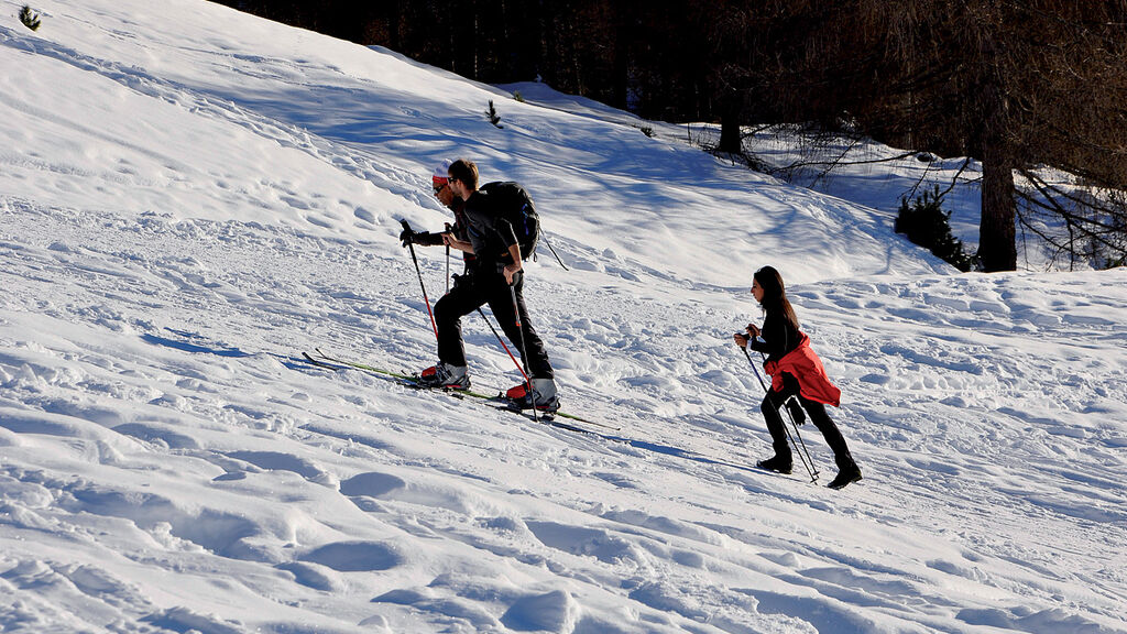 Natur & Aktiv Hotel Rogen