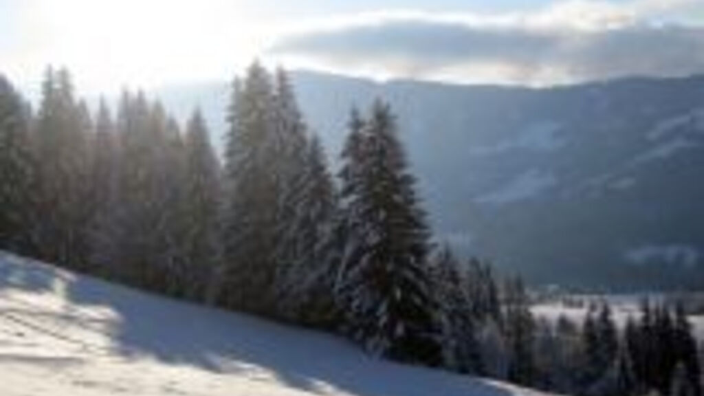 Schwaigeralm