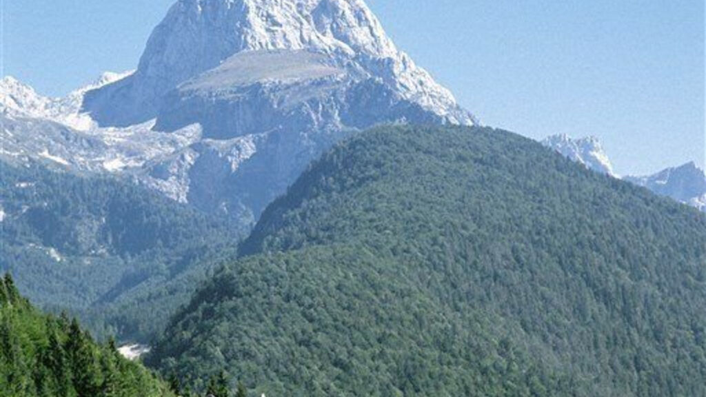 Špik