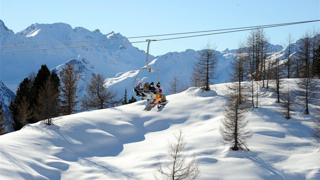 Stella Alpina