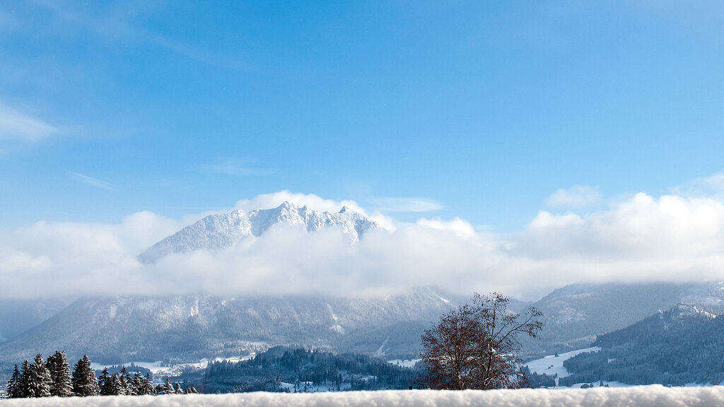 Talhof - garni & more