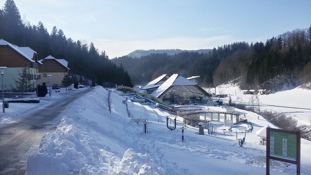 Residence Terme Snovik s polopenzí