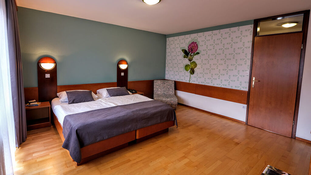 Hotel Tripič se skipasem