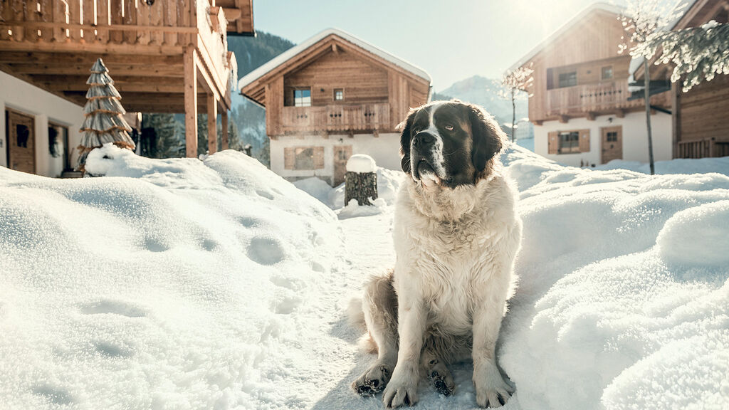 Chalet Pradel Dolomites