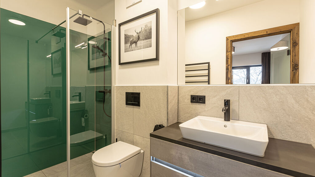 Hideaway Dachstein West by ALPS RESORTS