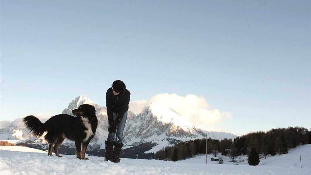 Kastel Seiser Alm
