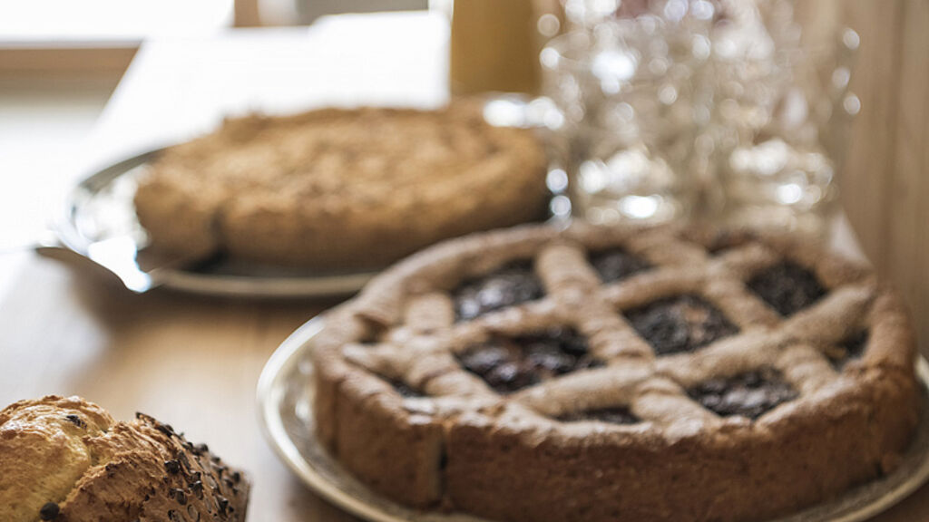 Residence Gamz Apart