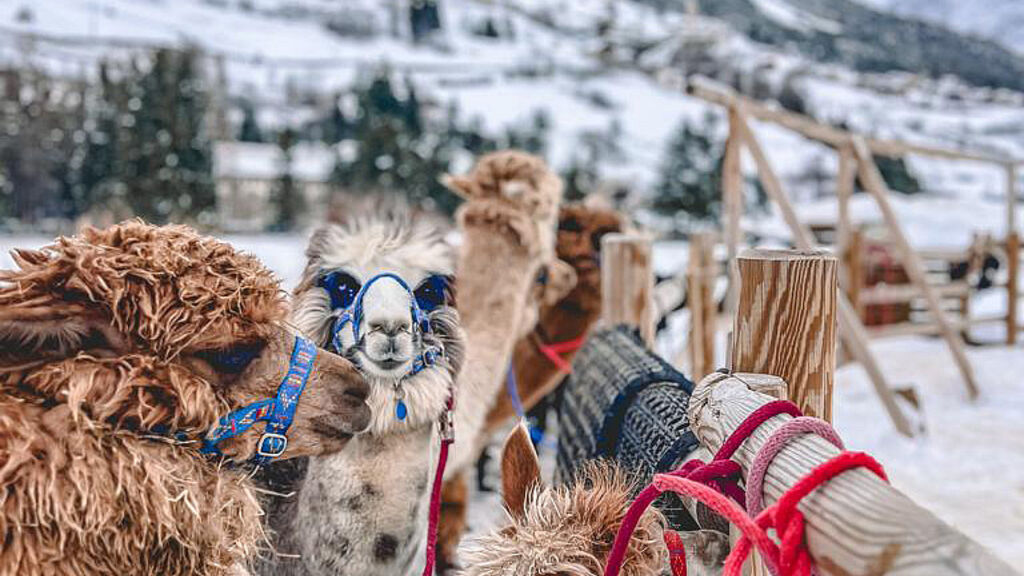 Residence Nira Mountain Resort Futura