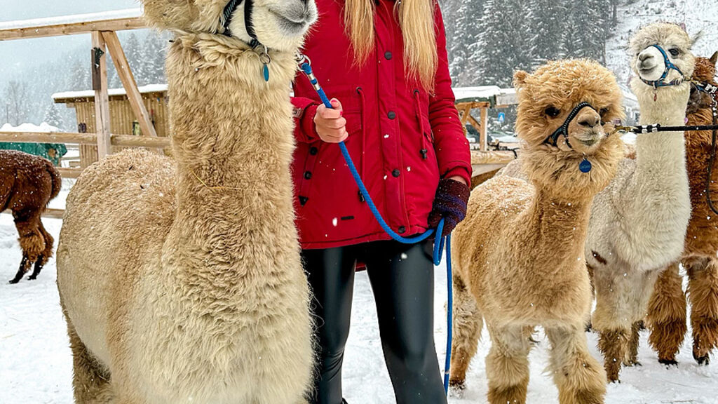 Residence Nira Mountain Resort Futura