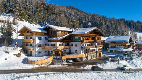 Náhled objektu Grünholz, Mühlbach am Hochkönig, Hochkönig, Rakousko