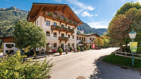 Náhled objektu Krimmlerfälle, Krimml, Oberpinzgau, Rakousko