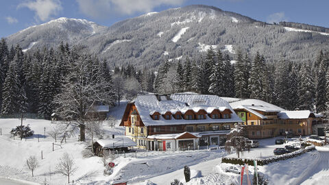 Náhled objektu Vitaler Landauerhof, Schladming - Rohrmoos, Dachstein / Schladming, Rakousko