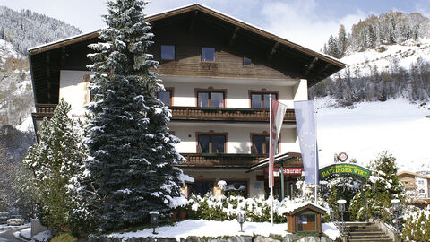 Náhled objektu Gasthof Batzinger, Mühlbach im Pinzgau, Oberpinzgau, Rakousko