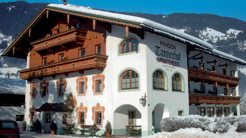 Náhled objektu Tannerhof, Zell am Ziller, Zillertal Arena - Gerlos, Rakousko