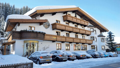 Náhled objektu Waldhof, Gerlos, Zillertal Arena - Gerlos, Rakousko