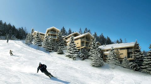 Náhled objektu Alpenchalets Reiteralm, Pichl - Mandling, Dachstein / Schladming, Rakousko