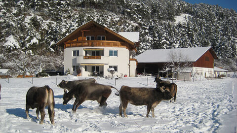 Náhled objektu Apartmánový dům Gundolf Arzl, Arzl im Pitztal, Pitztal, Rakousko