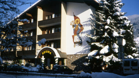 Náhled objektu Appartement Regina, Zell am Ziller, Zillertal Arena - Gerlos, Rakousko