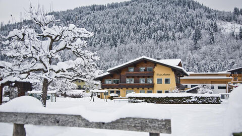 Náhled objektu Haus Austria, Flachau, Ski Amadé, Rakousko