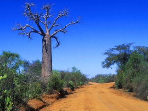 Afrika - ilustrační fotografie