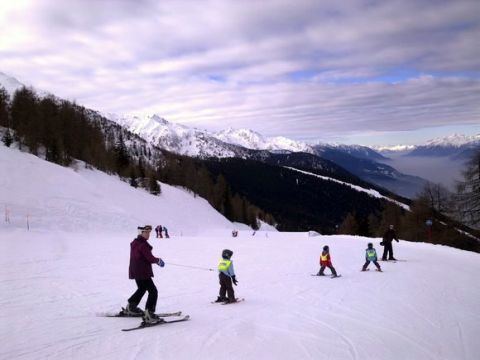 Aprica - ilustrační fotografie