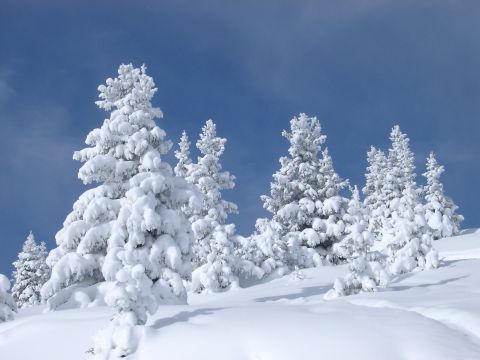 Folgaria / Lavarone - ilustrační fotografie